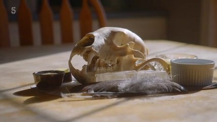 Ben Fogle New Lives Wild / S20 E10 / OFF THE GRID USA