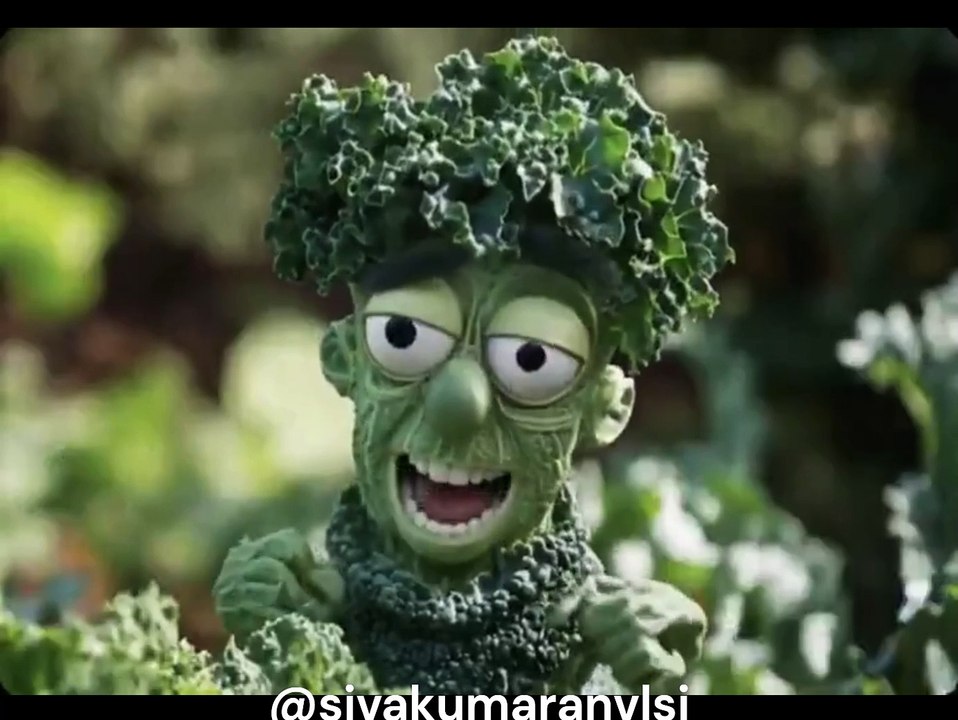 cabbage