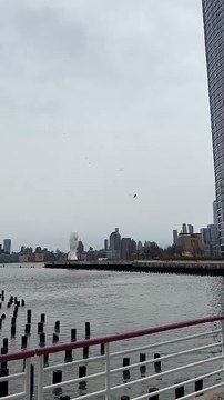 New York : Les terribles images de la chute d’un hélicoptère dans le fleuve Hudson - Six morts dont 3 enfants appartenant à une famille de touristes espagnols qui visitaient la ville