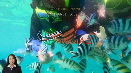 Review Shanshui Beach SUP & Snorkeling Experience (Sunrise and Sunset)