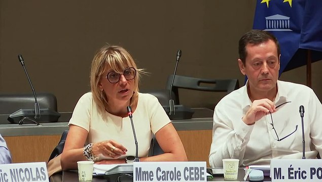 Défaillances des pouvoirs publics face aux plans de licenciements : Organisations syndicales du Crédit commercial de France ; Dirigeants du Crédit commercial de France - Jeudi 10 avril 2025