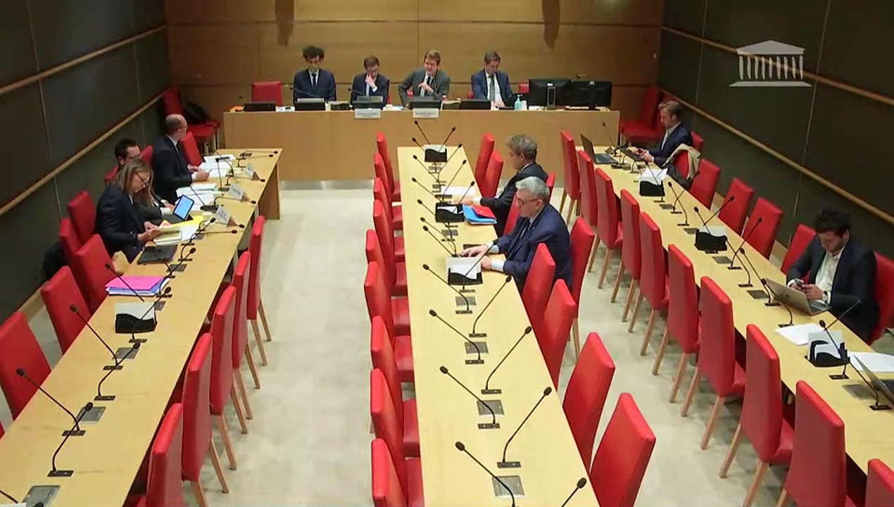 Freins à la réindustrialisation de la France : M. Sébastien Martin, président de la communauté d’agglomération du Grand Chalon ; M. Geoffroy Roux de Bézieux, président d’honneur du Medef - Jeudi 10 avril 2025