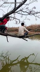 Article writng.Ad posting