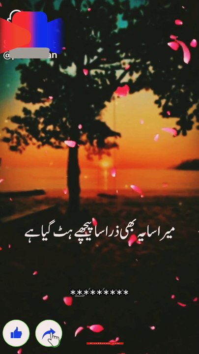 عاجزی اختیار کریں اور غرور کبھی بھی مت کریں آپ ہمیشہ تروتازہ اور جوان نہیں رہیں گے وقت بہت تیزی سے گزر رہا ہے وقت کی قدر کیجئیے. ❣️❣️❣️❣️❣️❣️❣️❣️❣️❣️❣️❣️