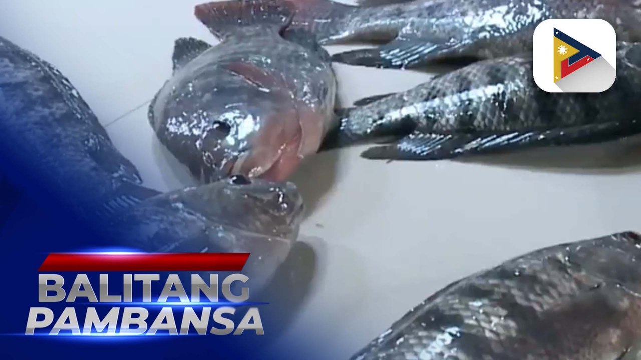 resyo ng mga isda, nananatiling stable bago dumating ang Semana Santa ayon sa D.A.