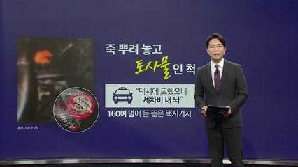죽 뿌려놓고 토사물인 척... "세차비 내 놔" 돈 뜯은 택시기사 [앵커리포트] / YTN