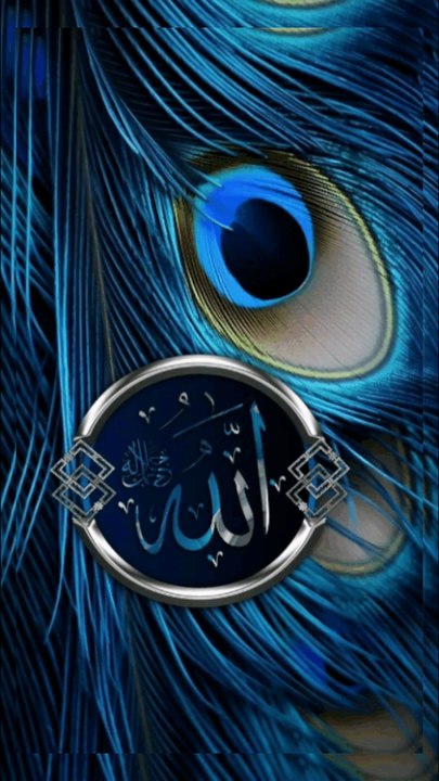 [11/04, 8:58 am] Fakhar Khan: New Islamic tik tok video  #shorts #islam #tiktok[11/04, 8:58 am] Fakhar Khan: #shorts #islam #tiktok