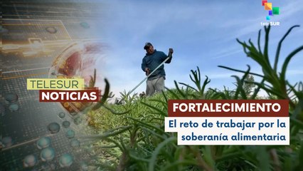 México anunció nuevo programa de la autosuficiencia alimentaria llamada "Cosechando Soberanía"