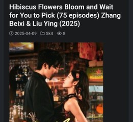 HIBISCUS FLOWERS BLOOM AND WAIT FOR YOU TO PICK.Full Movies English Sub