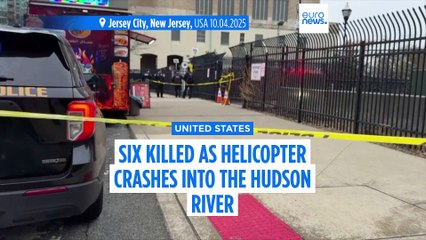 Siemens top manager and his family killed as tourist helicopter crashes in the Hudson River