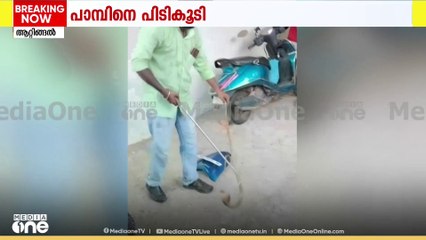 തിരുവനന്തപുരത്ത് സ്കൂട്ടറിൽ നിന്നും മൂർഖൻ പാമ്പിനെ പിടികൂടി