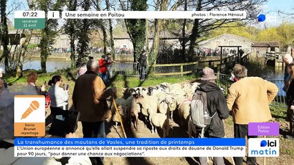 11/04/2025 - ici matin par ici Poitou en vidéo