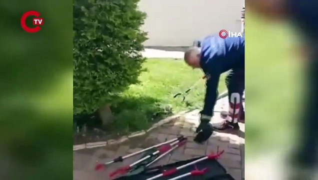 Anne kedi motor kısmında doğurdu, itfaiye seferber oldu