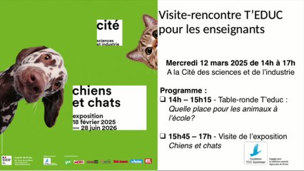 T'éduc Chiens et chats : quelle place pour les animaux à l'école?