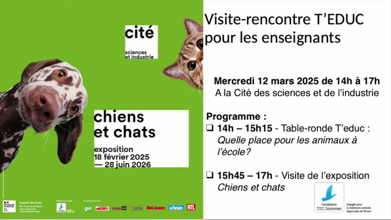 T'éduc Chiens et chats : quelle place pour les animaux à l'école?