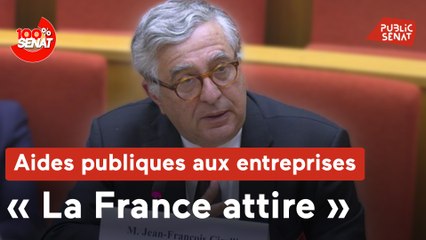 100% Sénat - Aides publiques aux entreprises : audition de Blackrock