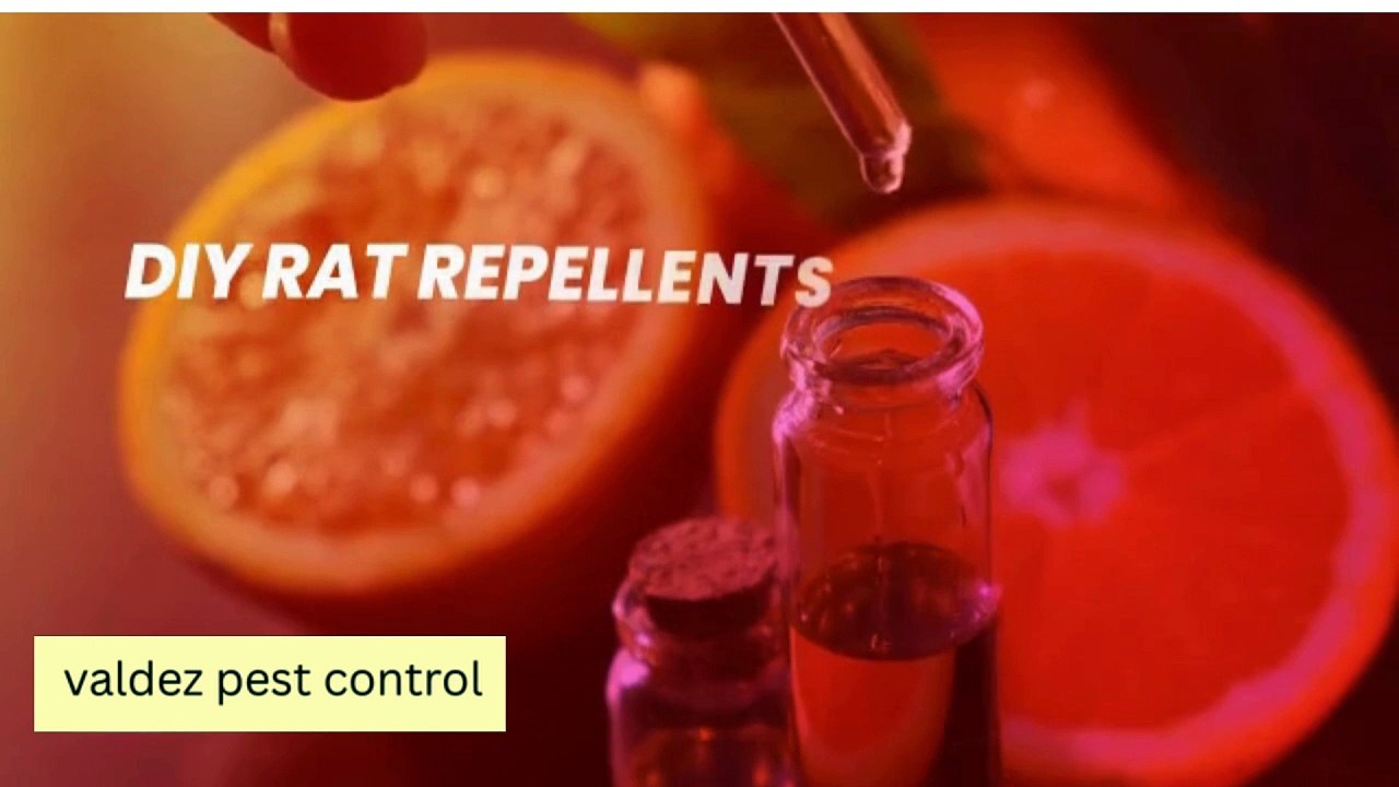 DIY Rat Repellent Balls Using Essential Oils – Cheap & Easy