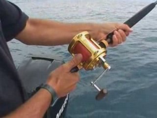 Pêche de la Sériole au Vif