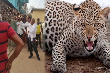 विधायक के पीए के घर घुसा तेंदुआ