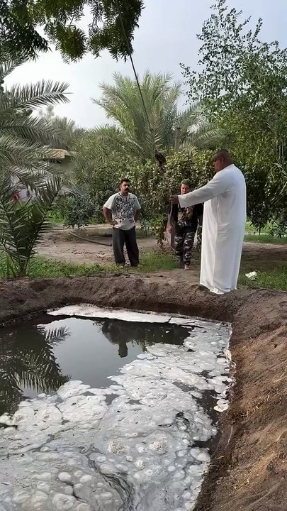 Me and my friends 🤣😂😂very funny