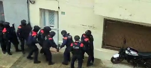 Los Mossos desmantelan una plantación de marihuana en Gavà