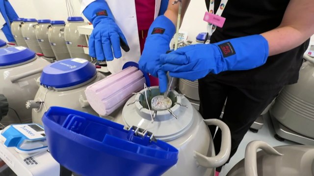 Monash IVF apologises to woman implanted with wrong embryo