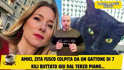 Amici, Zita Fusco colpita da un gattone di 7 kili buttato giu dal terzo piano...