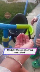 This Baby vs Ladybug Battle is the Cutest Thing Ever! | Heartsome 💖