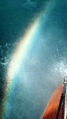 Koray Avcı'dan sürpriz karar: Her şeyi terk etti, artık denizde yaşıyor