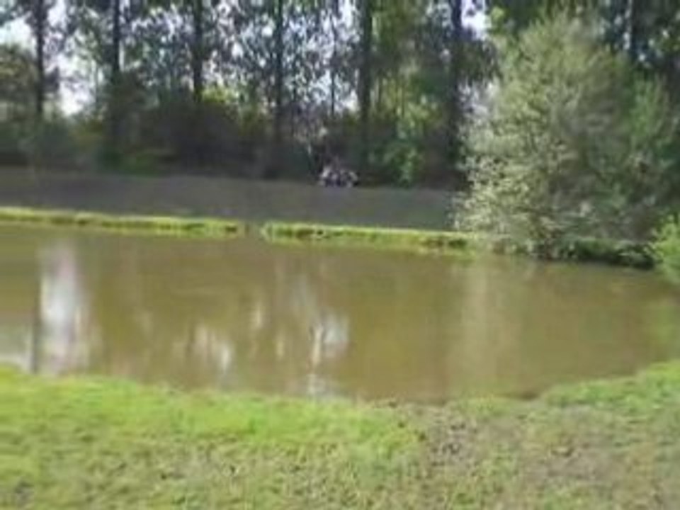 IMGP0980