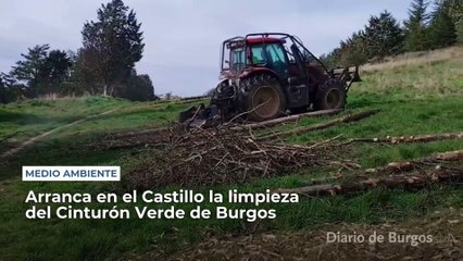 Arranca en el Castillo la limpieza del Cinturón Verde de Burgos