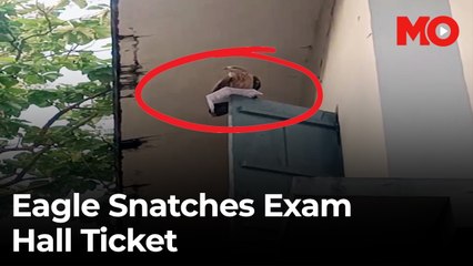 Eagle snatches exam hall ticket