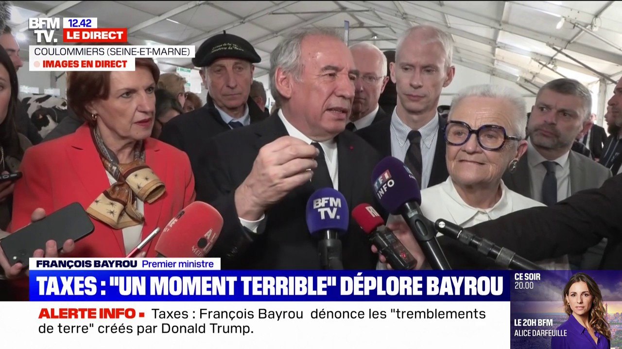 "Quand le président des États-Unis ajoute des taxes, c'est un tremblement de terre", dénonce François Bayrou