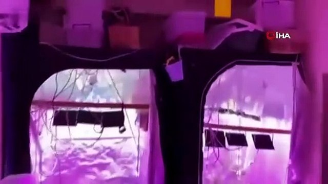 Antalya’da 150 polis ve 4 narkotik köpeği ile eş zamanlı uyuşturucu operasyonu: 12 gözaltı