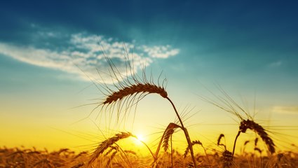 Quel climat pour 2100 ? La Tracc livre ses prévisions