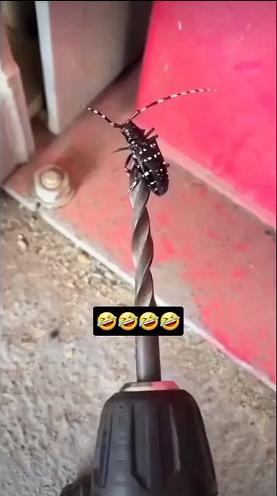 Enjoy baby🤣😂😂