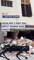 Indian army's robot dogs inspect Myanmar quake damage