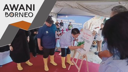 35 penduduk Kg Masalog jayakan projek jagung bijian