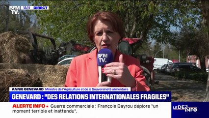 Taxes douanières: "Cette guerre commerciale, nous sommes prêts à la mener", affirme Annie Genevard (ministre de l'Agriculture)