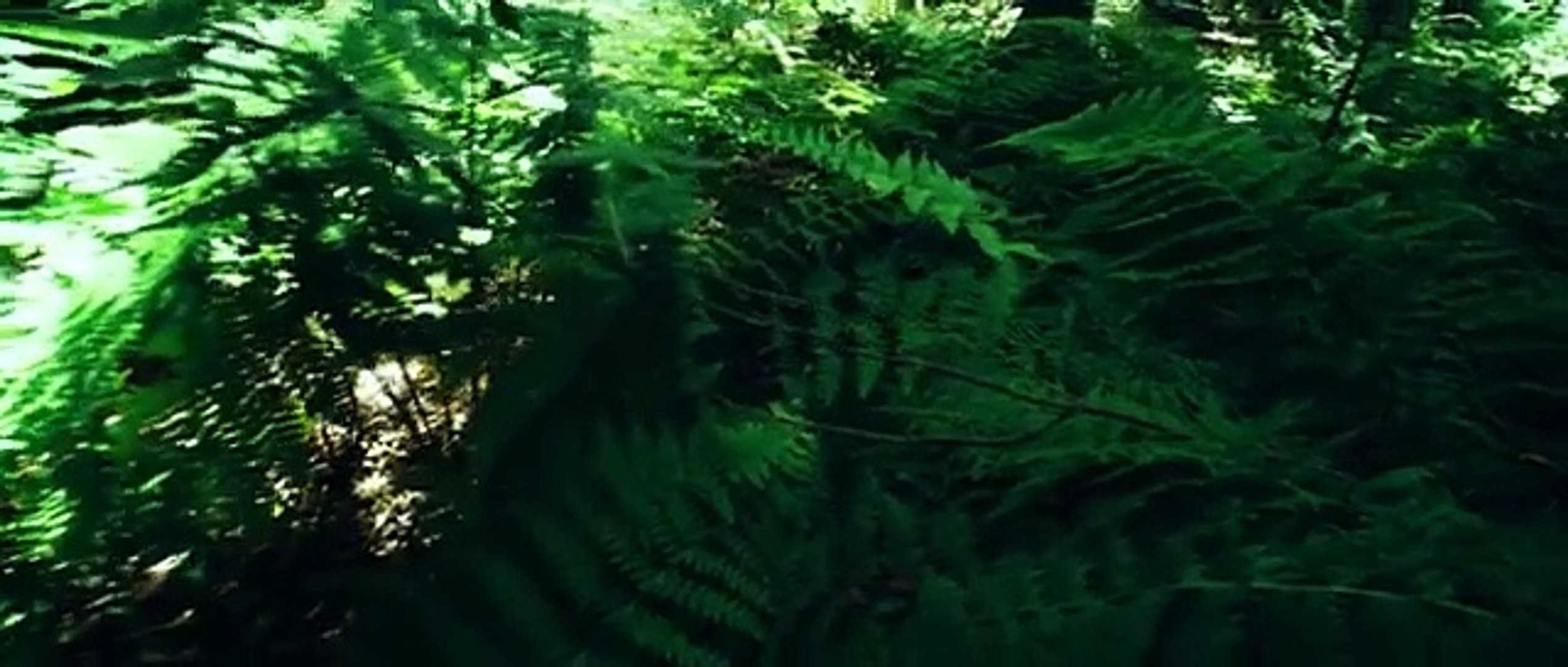 full movie english full movie sci-fi movies full movies