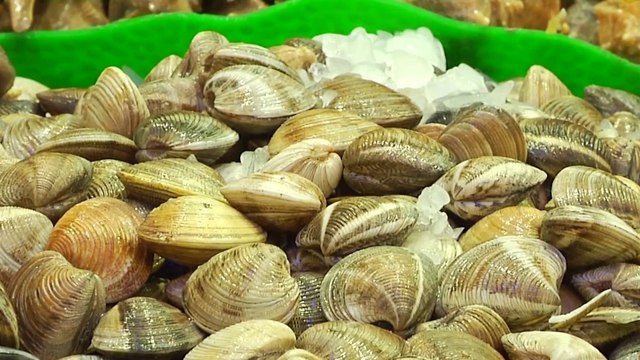 tn7-senasa-prohibe-venta-de-productos-marinos-por-marea-roja-110425