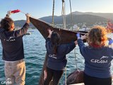 Retiran un tiburón muerto en el Port de la Selva (Girona)