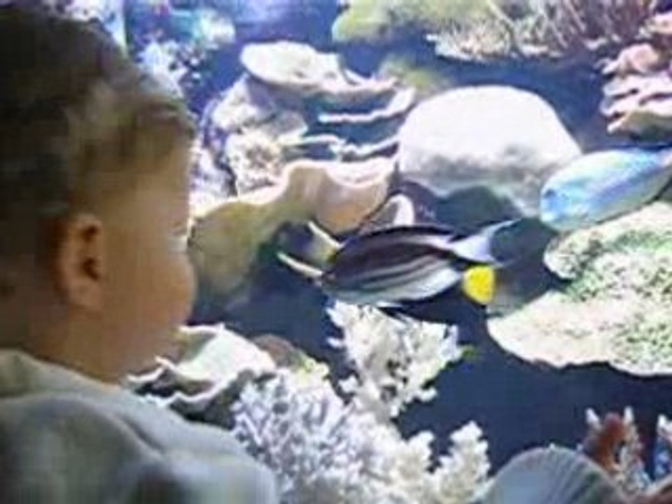 aquarium de monaco