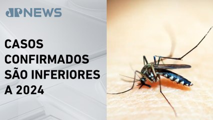 Índices de internações por dengue aumentam 89% em São Paulo