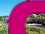 Agenda des Sorties du 14 au 16 avril 2025 - Agenda des sorties - TL7, Télévision loire 7