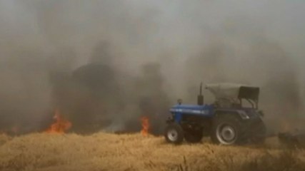 Sonipat: खेतों में भीषण आग, किसानों की मेहनत जलकर राख!