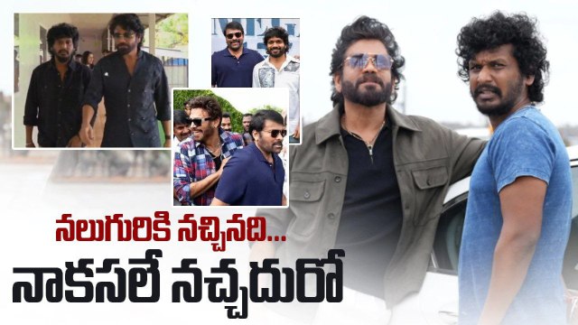 Akkineni Nagarjuna : సోలో హీరోగా మళ్ళీ రిస్క్ KING 👑 ఇక మారడా? | Akkineni | Filmibeat telugu Fans