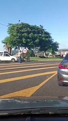 Touro invade trânsito em cidade paulista e causa estrago em veículos; vídeo