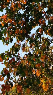 Nature colours #nature #colours #travel #plants