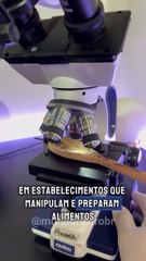 Colher de pau é proibida? Veja riscos e cuidados com o utensílio